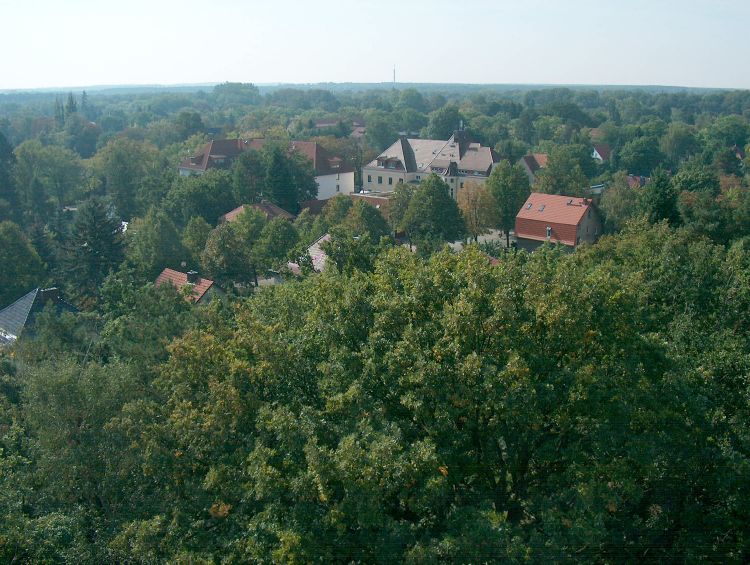 Eichwalde